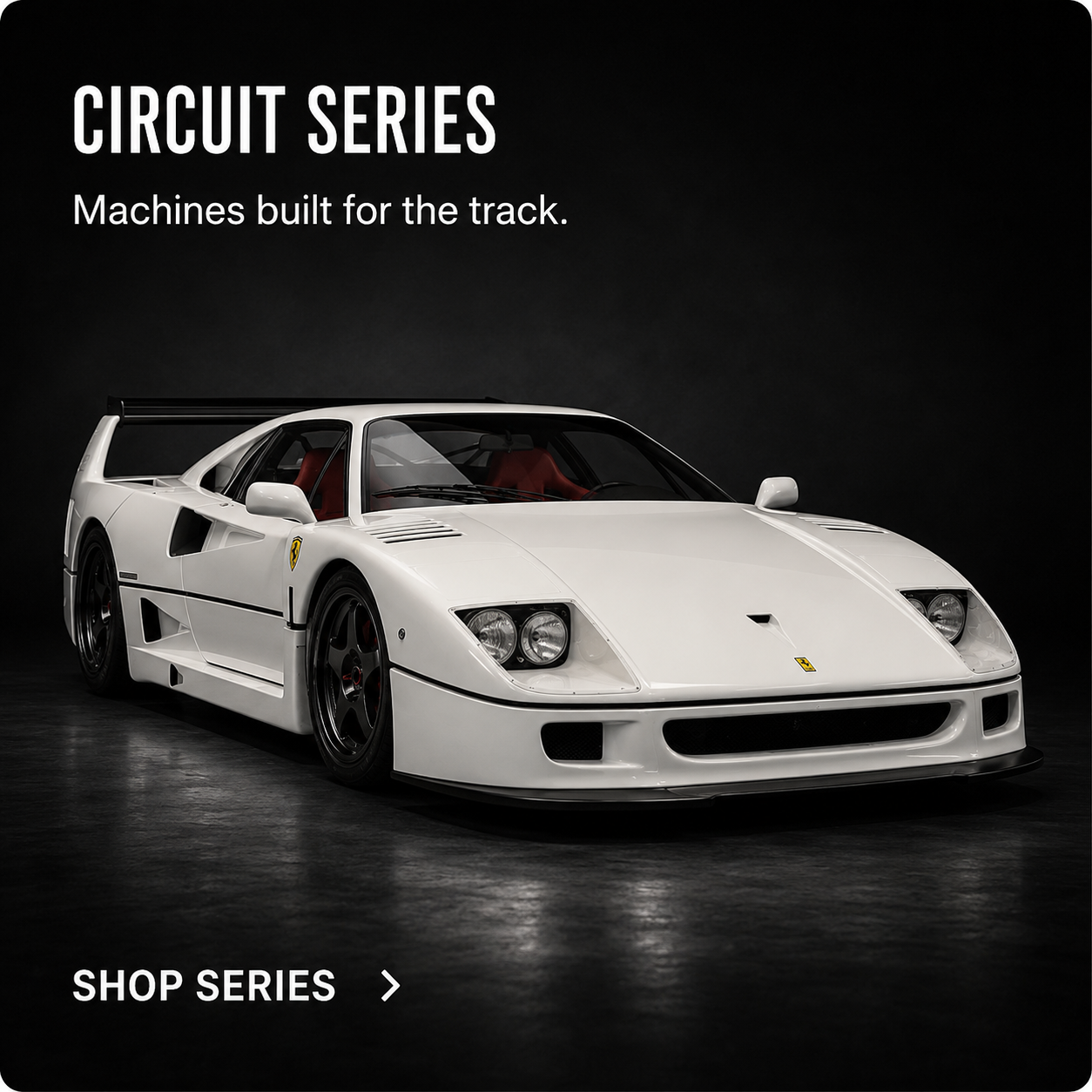 CIRCUIT SERIES
